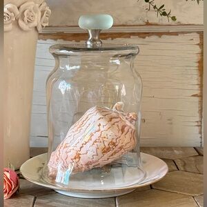Coastal Seaglass Cloche w/ Antique Limoge Base, Hand Painted Snail & Seashells